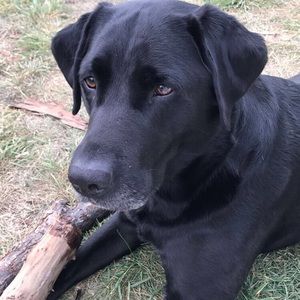 Meet your Posher, Ashlyn